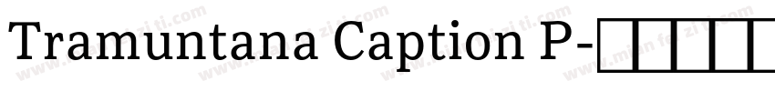 Tramuntana Caption P字体转换